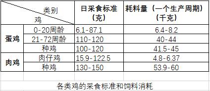 饲料消耗