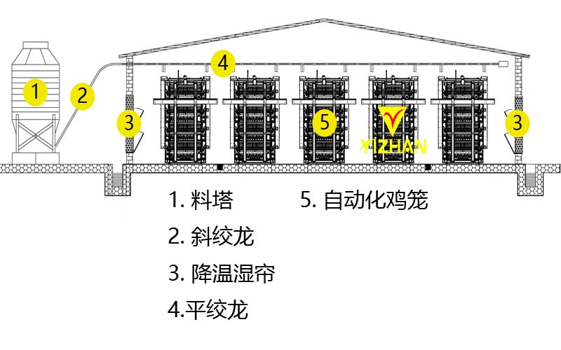 鸡舍设计